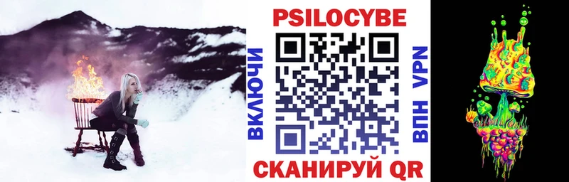 Псилоцибиновые грибы Cubensis  купить   mega сайт  Сызрань 